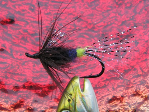 electric soft hackle 001.jpg