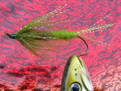 electric soft hackle 002.jpg