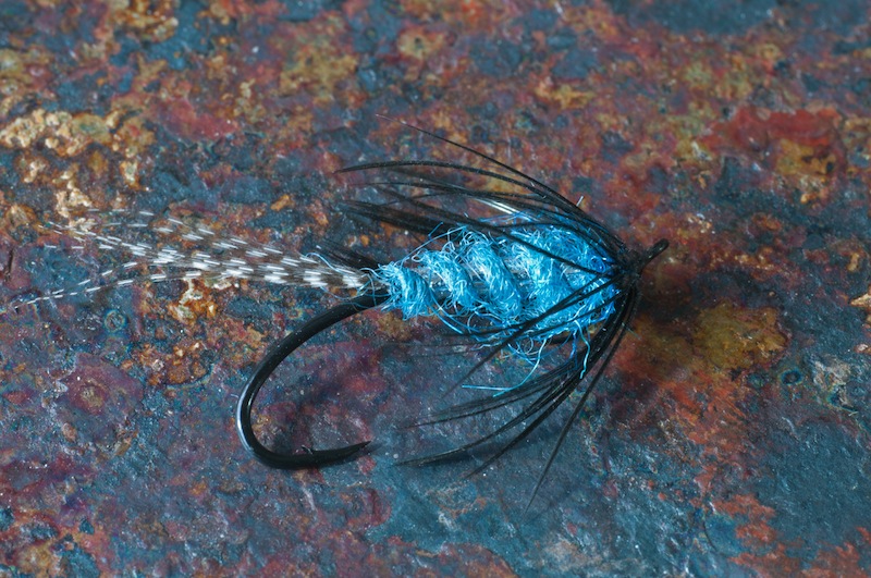 woolworthy flymph blue.jpg