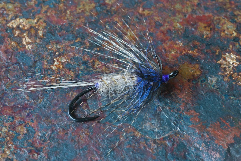 woolworthy flymph purple thorax.jpg