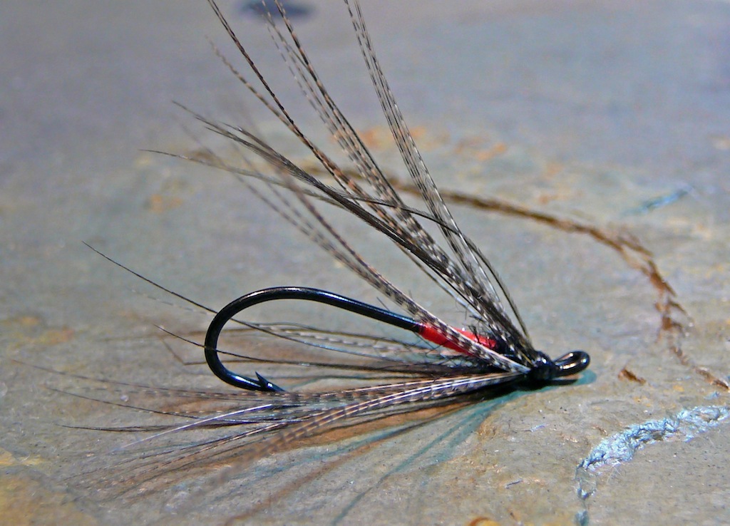 Steelhead Spider.jpg