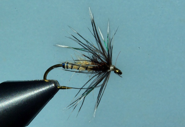 Ringneck Hackle.jpg