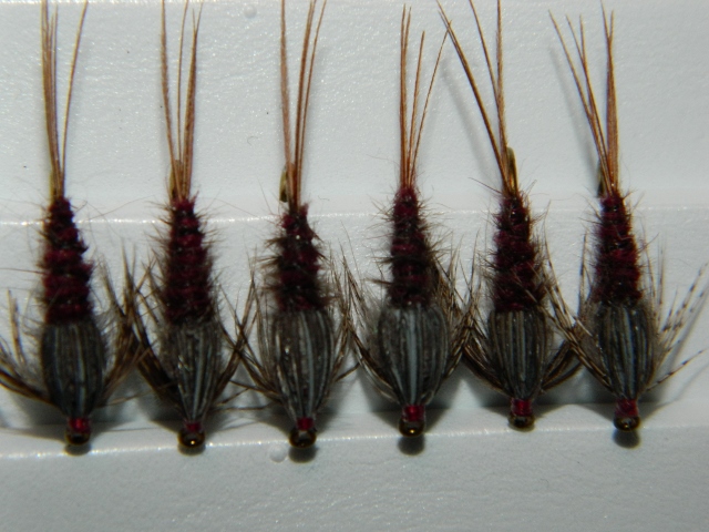 Doug's Iso Nymphs in a Box.jpg