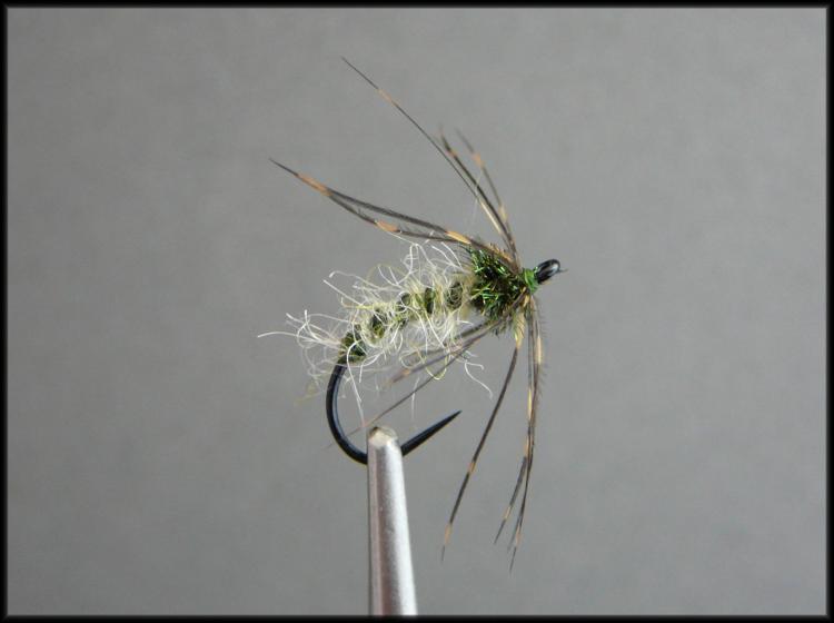 Caddis Emerger.jpg