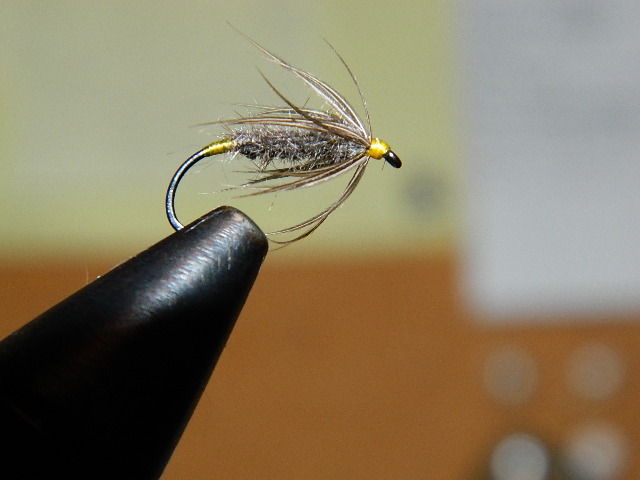 Muskrat Wets and 017.JPG