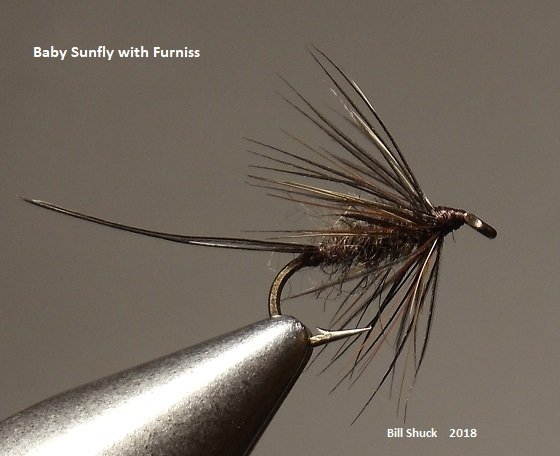 Baby Sunfly     with Furniss.JPG