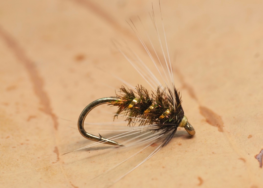 reducedLeisenring's Grey Hackle.jpg