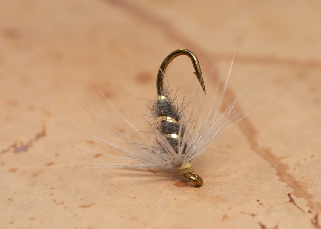 reducedLeisenring's Blue Dun Hackle.jpg