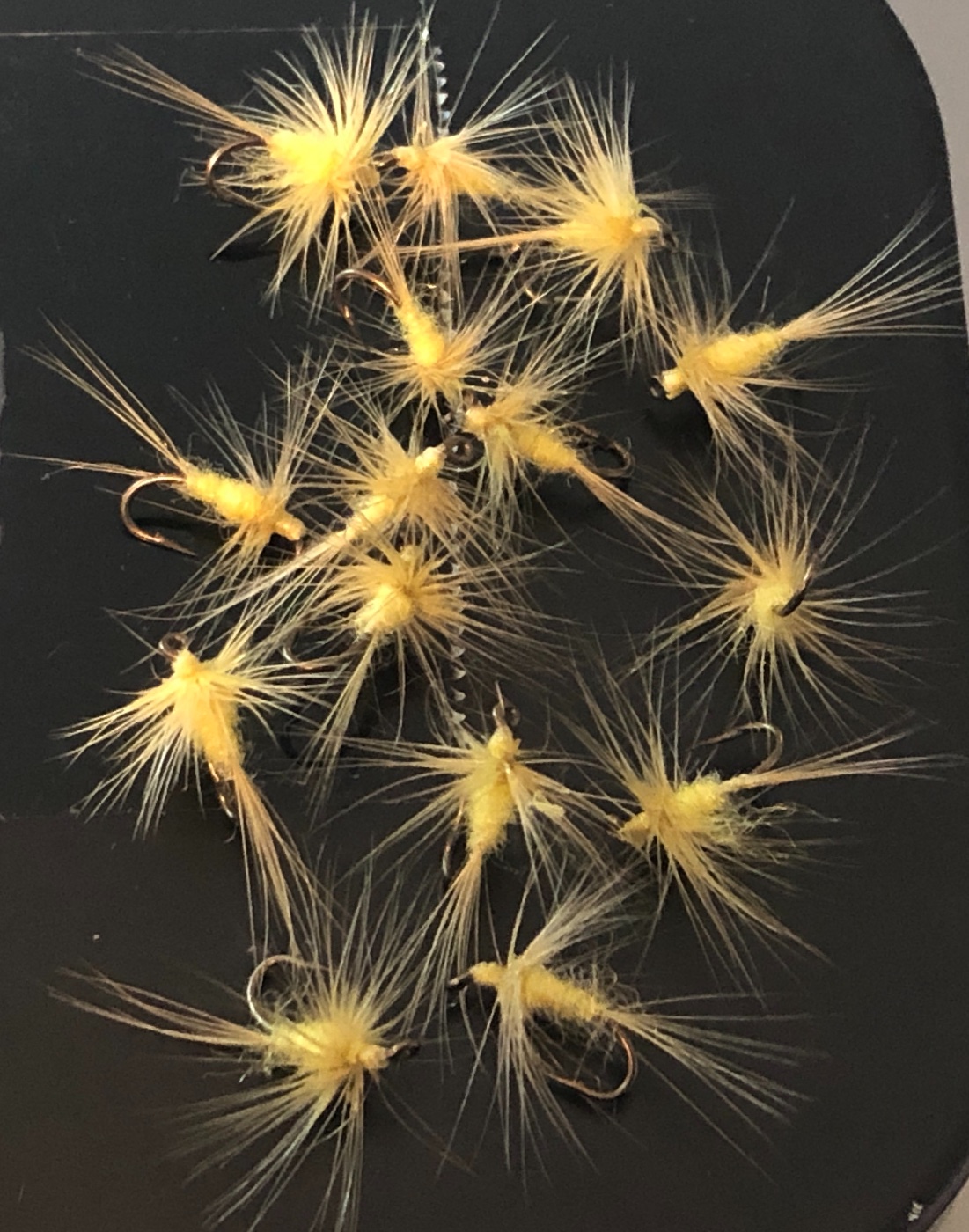 Yeller Soft Hackles - 01.JPG