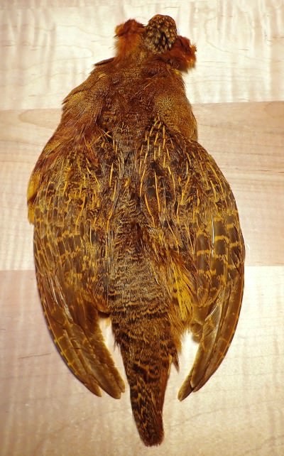 Golden Olive Partridge Skin.jpg